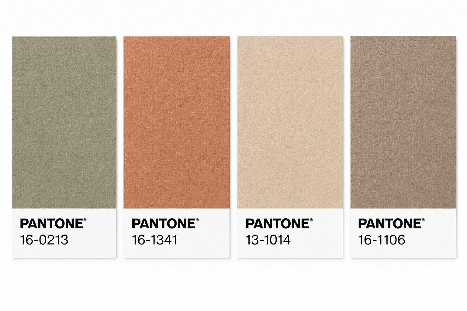 Earth moodboard with olive, terracotta, sand, and taupe Pantone swatches